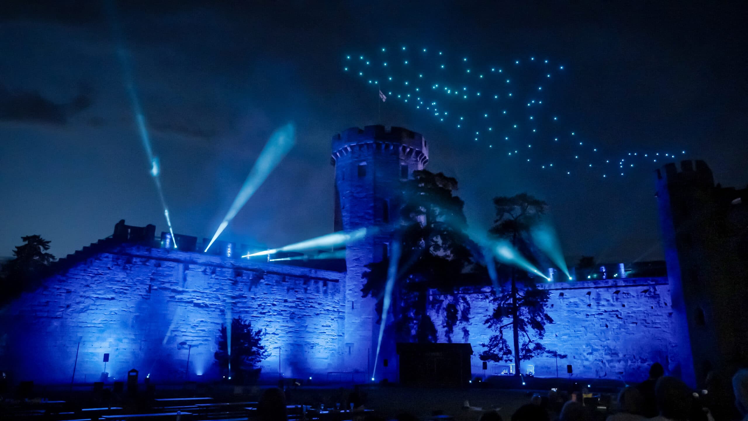 Dolphin drone display